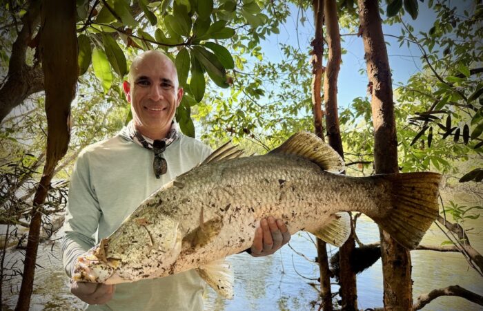 wild barra